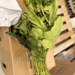 Fresh Garden Egg Leaves / bunch