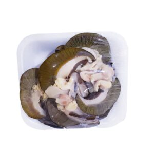 Jumbo Snails (pack of 4)